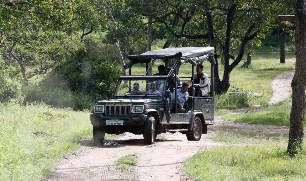 Jeep Safari in Bandipur National Park