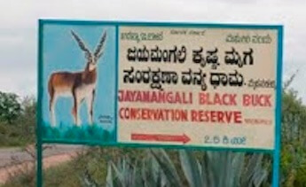 TOP 10 One Day Wildlife Getaways from Bangalore - PART 3 - 7 & 8 7. Jayamangali blackbuck reserve; Wildtrails of india