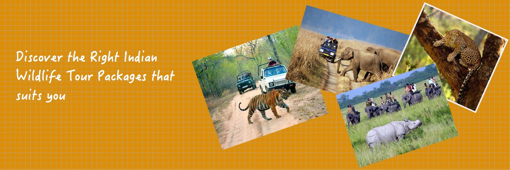 app is the best way to get all the details about Indian wildlife sanctuaries (best travel times, animal sightings, accommodations, prices, etc).
