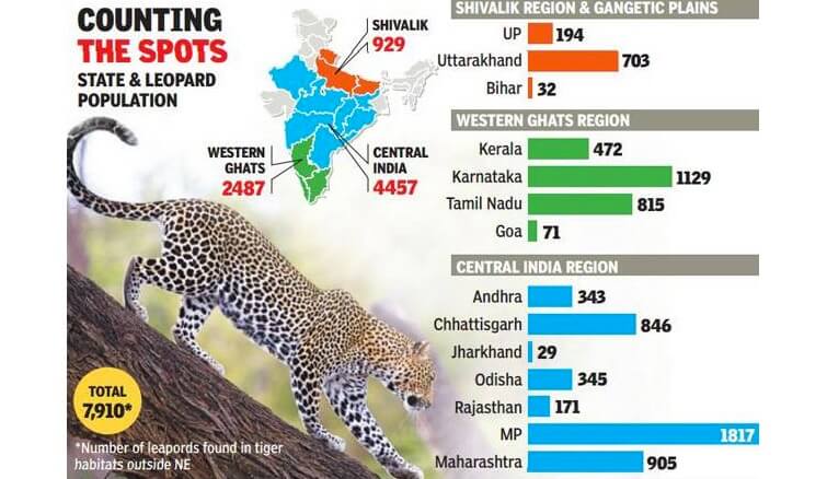 Leopards counted in India but do they love to live in Tea Estates