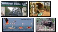 National Parks And Wildlife Sanctuaries In Odisha