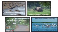 Marine Parks And Wildlife Sanctuaries In Odisha