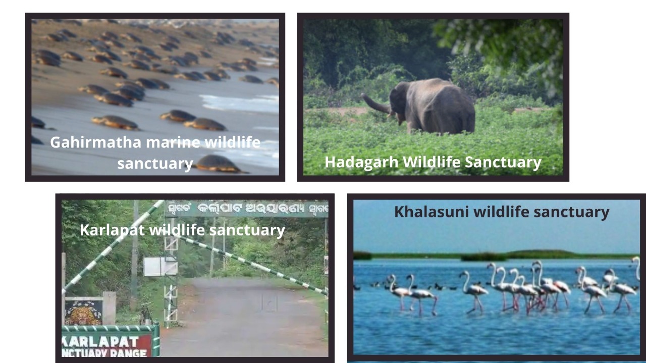 Complete List Of National Parks Wildlife Sanctuaries Of Odisha Wildtrails Of India