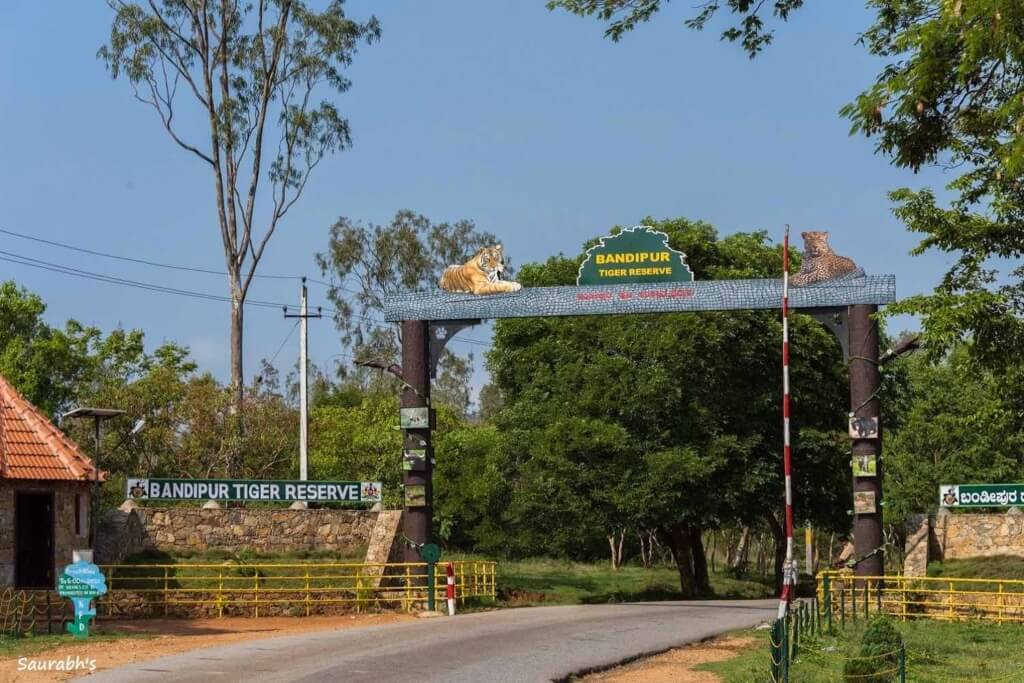 bandipur national park