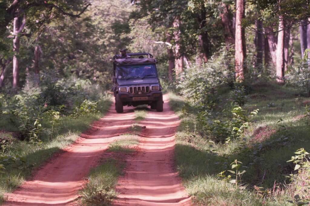 kabini safari