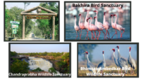 Wildlife sanctuaries and Bird sanctuaries in UP