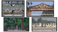 National Parks & Wildlife Sanctuaries of UP