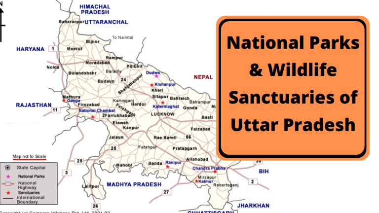 Complete List Of National Parks & Wildlife Sanctuaries Of Uttar Pradesh ...