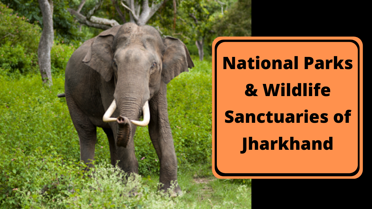 Complete List of National Parks & Wildlife Sanctuaries of Jharkhand