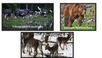 Wildlife Sanctuaries In Jammu & Kashmir
