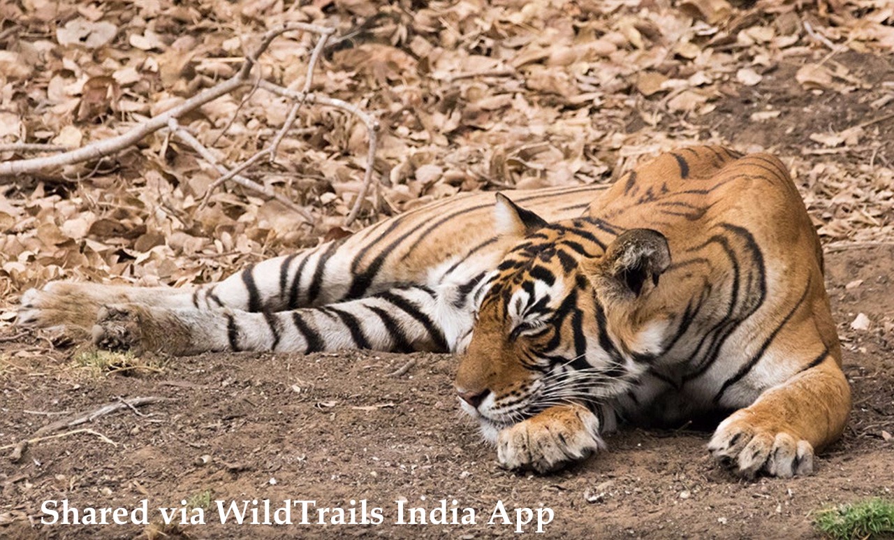 Right Kanha Safari Gate