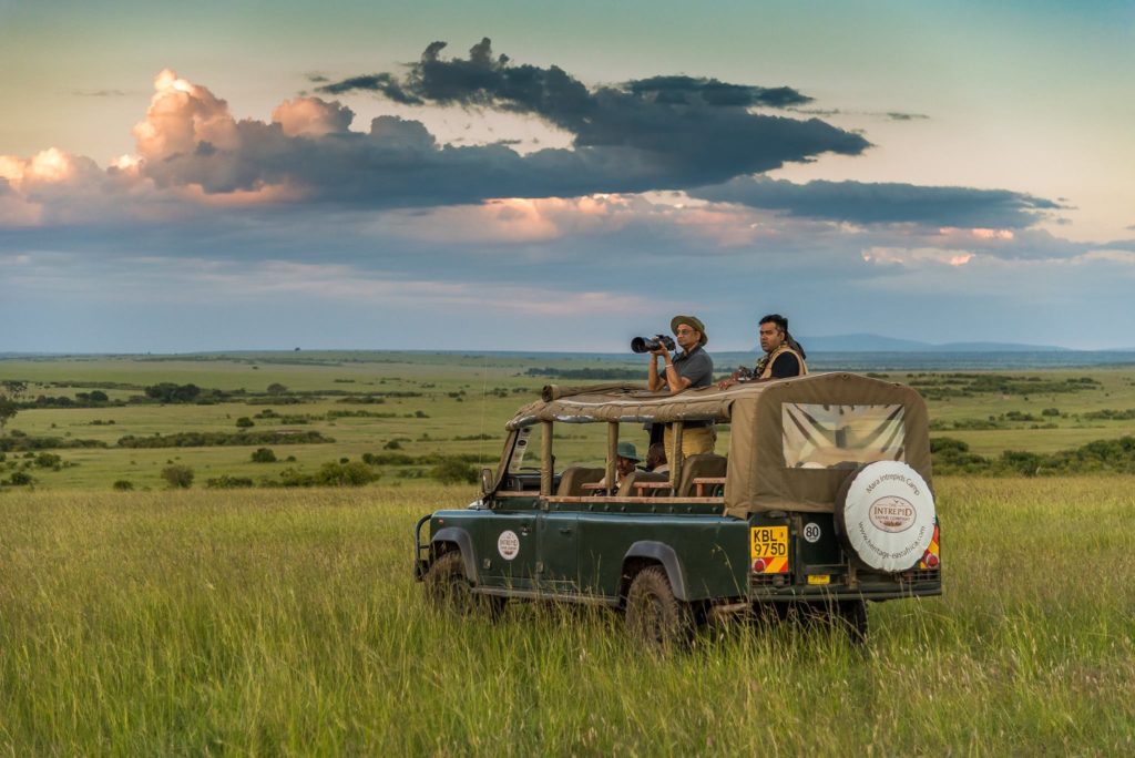 Guided Wildlife Photography Tours