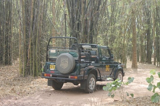 Book Kanha Jeep Safari