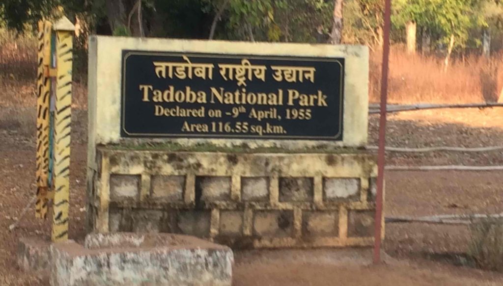 Tadoba Safari Gates Distance