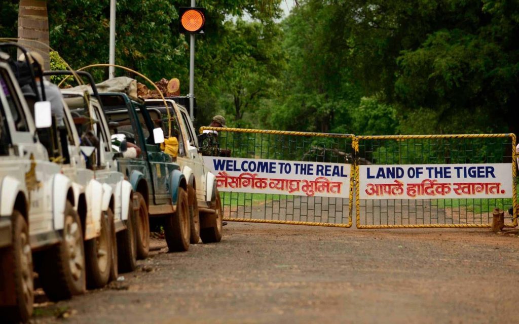 Tadoba Safari Entry Gates