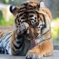 Wildlife Sanctuaries near Me