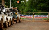 locate tadoba safari gates