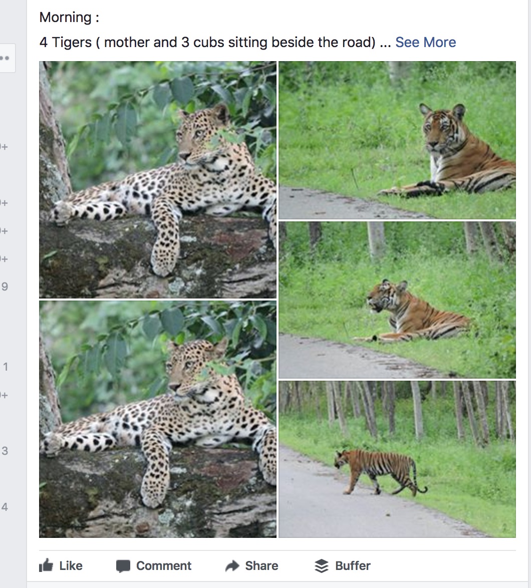 Can Facebook & WhatsApp images really track Tigers location?