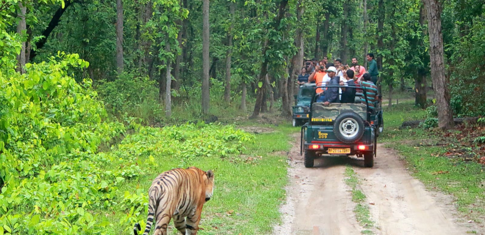 Indian Safaris explained