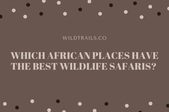 WHICH AFRICAN PLACES HAVE THE BEST WILDLIFE SAFARIS?
