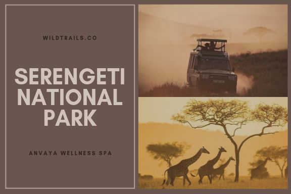 Serengeti National PARK (WildTrails.co)
