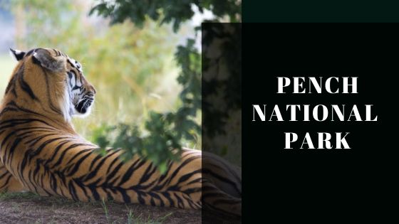 Pench Tger sighting zones
