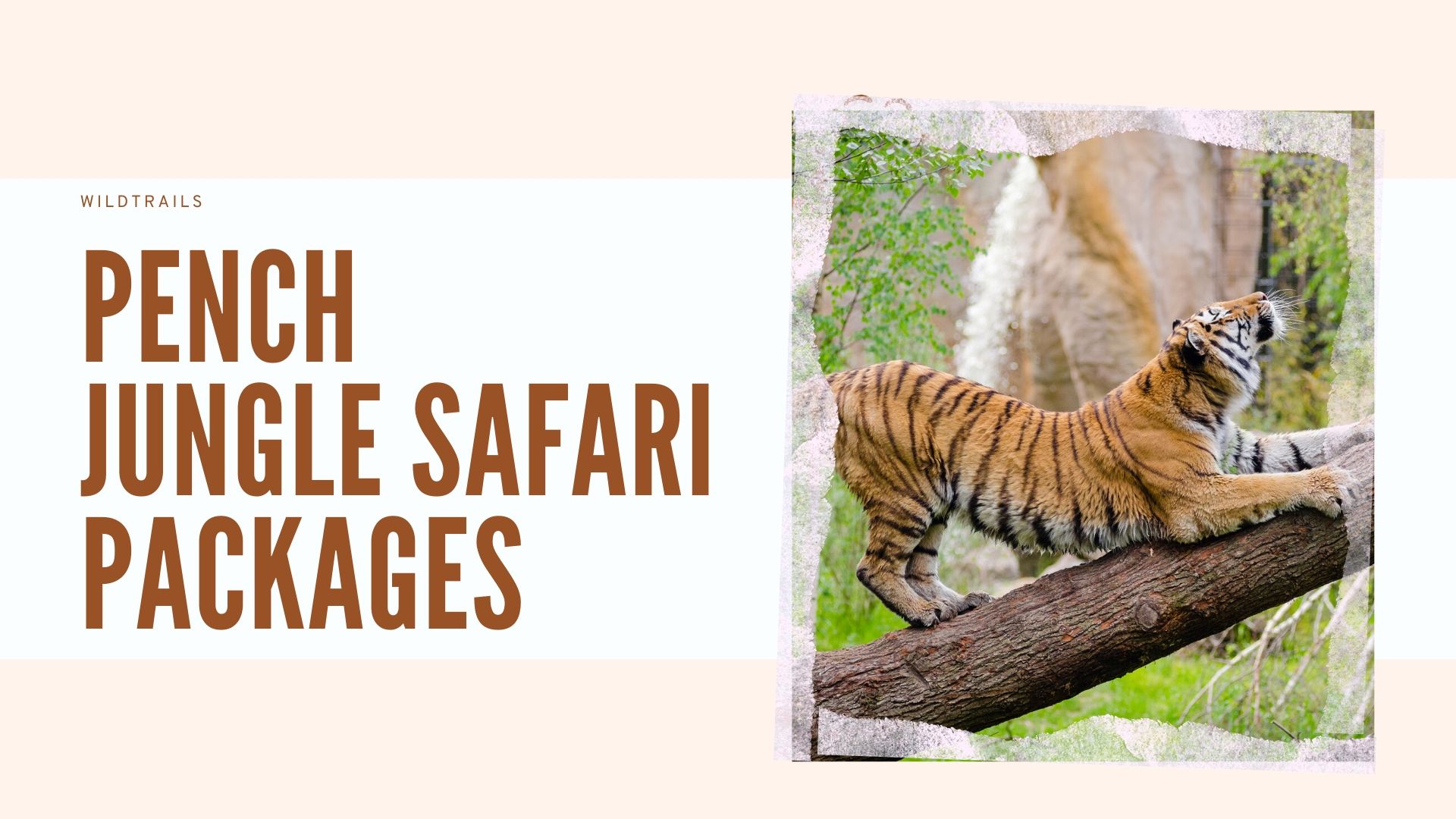 Pench Jungle Safari Packages