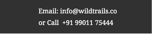 Wildtrails Contact No