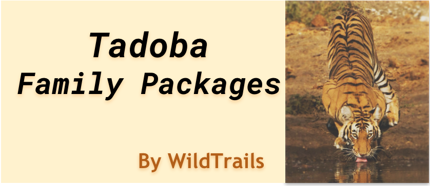 Tadoba family package