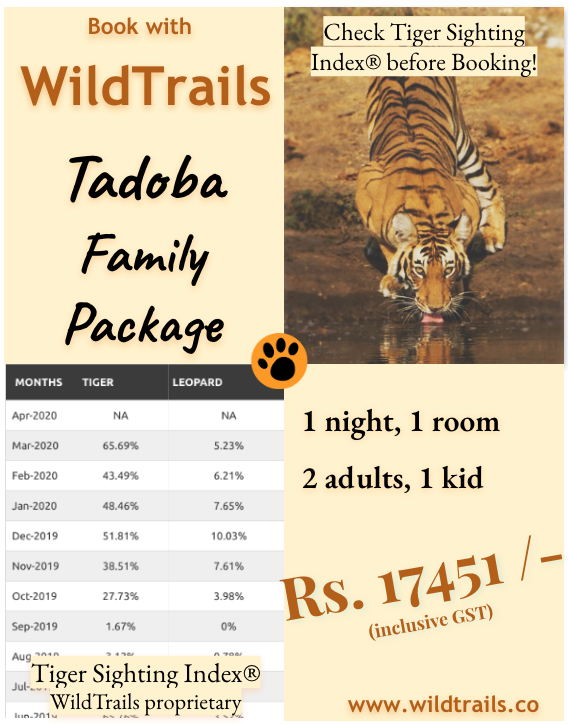 Tadoba package