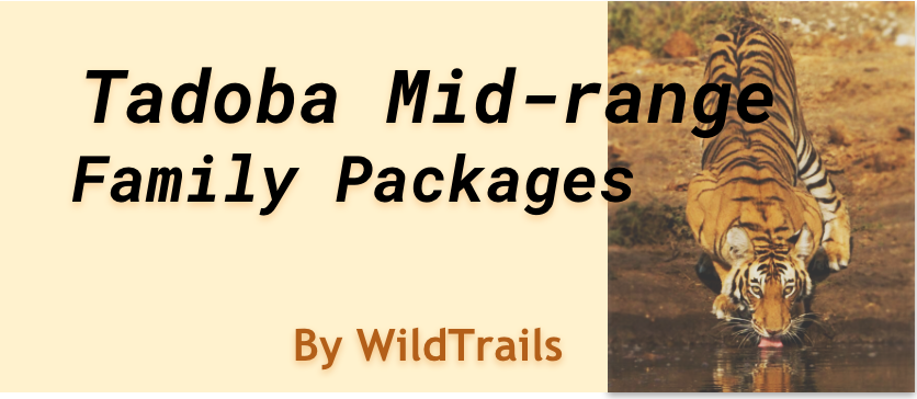 tadoba family package