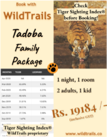 family Tadoba Package !