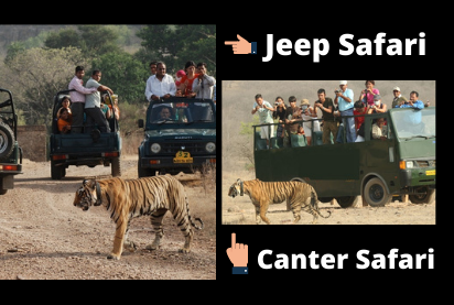 Safaris at Ranthambore