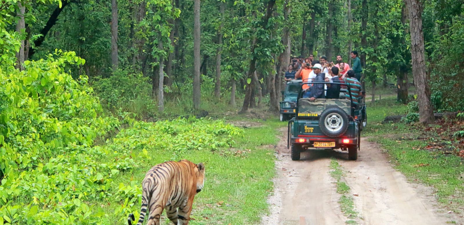 camper safari bandipur