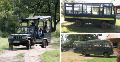 safari At Bandipur