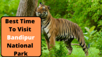 Best Time To Visit Bandipur National Park