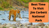 Best Time To Visit Jim Corbett National Park