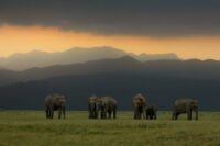 Climate at Jim Corbett