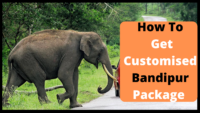 Bandipur Packages