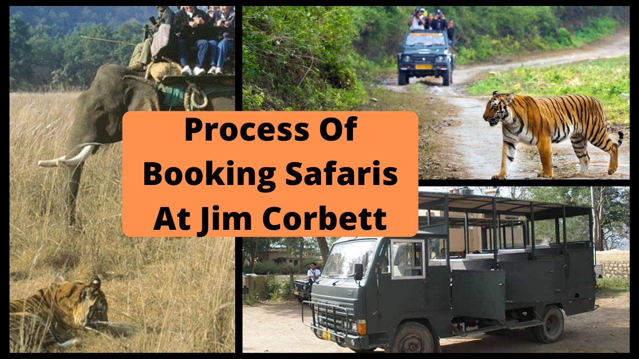 How to book safari at Jim Corbett