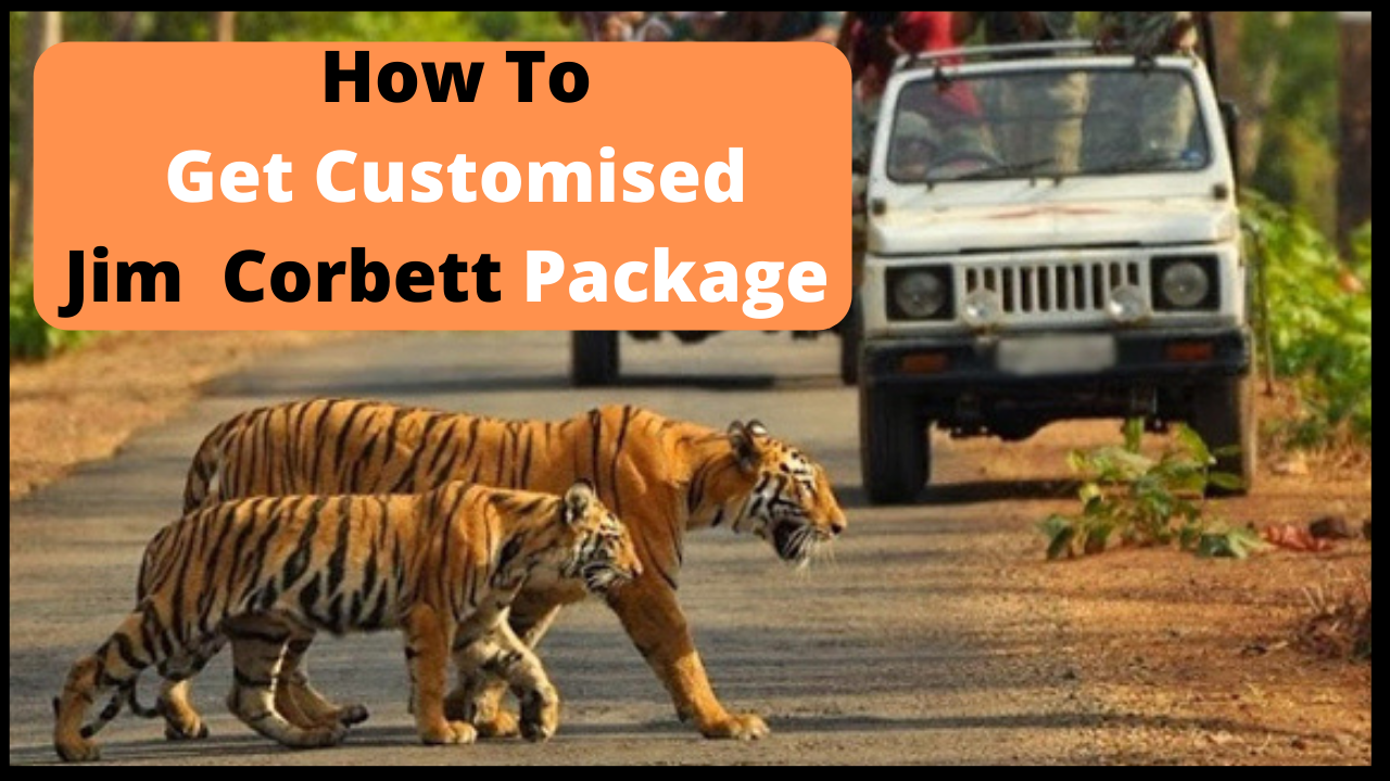 How To Get Customised Jim Corbett Packages