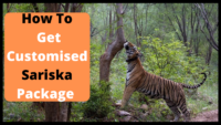 How to Get Customised Sariska Package