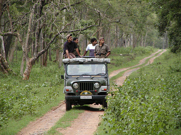 bandipur national park jeep safari