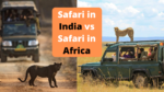 Safari in India vs Safari in Africa