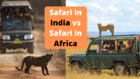 Safari in India vs Safari in Africa