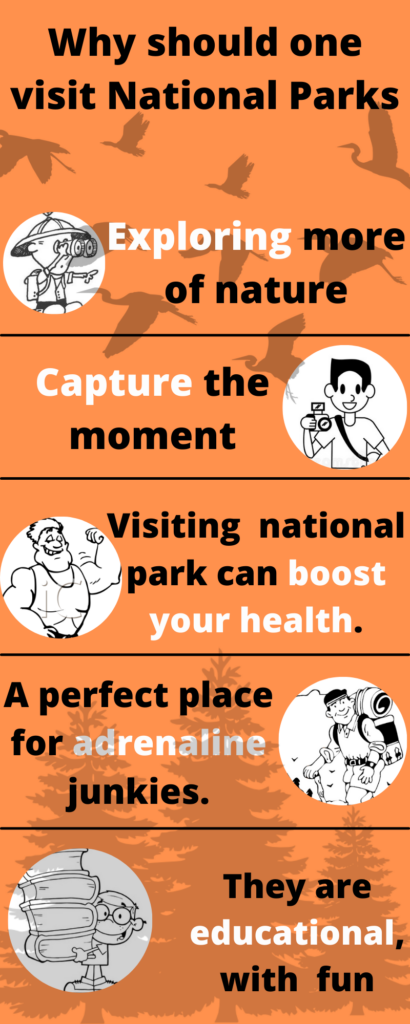 Why should one visit National Parks (1)