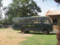 Canter Safari at Bandipur