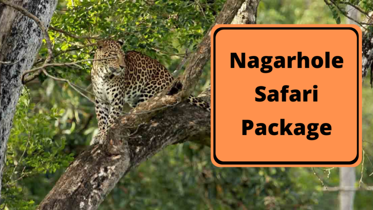 nagarhole safari charges