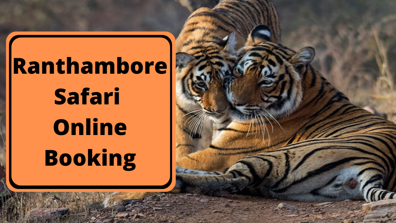 Ranthambore Safari Online Booking