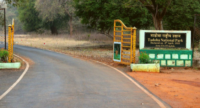 Tadoba National Park Gate